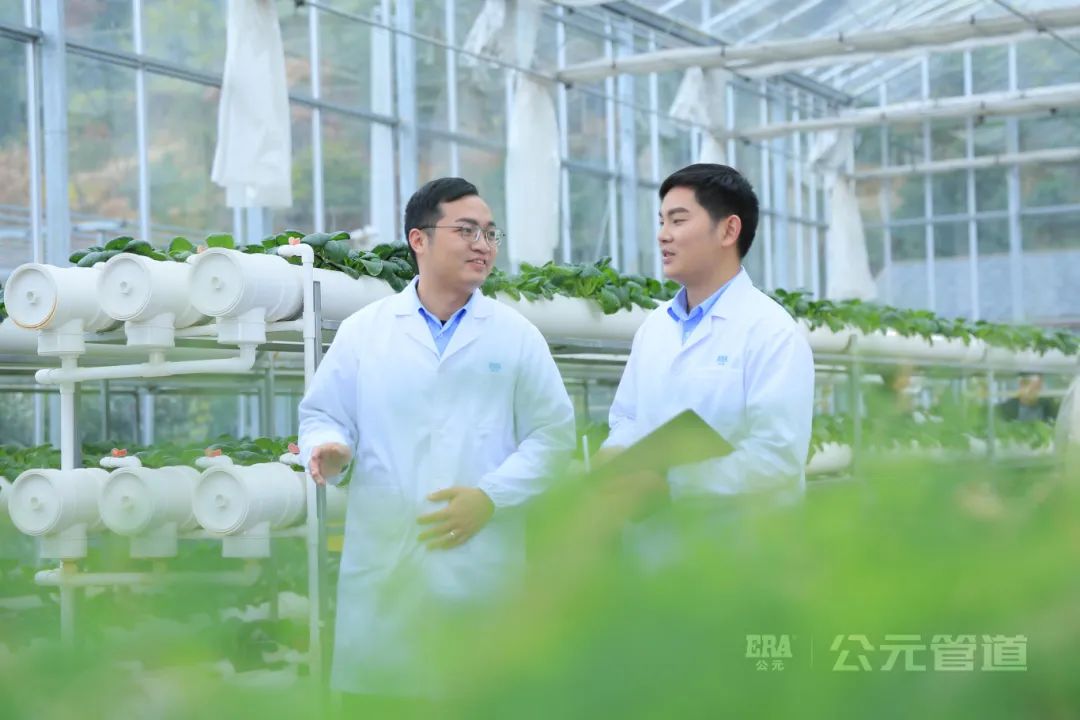 博天堂(918)官方网站 - 让你更精彩